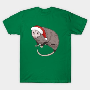 Christmas Possum single T-Shirt